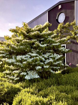 Foton von unserem Betriebsgebäude in Jever